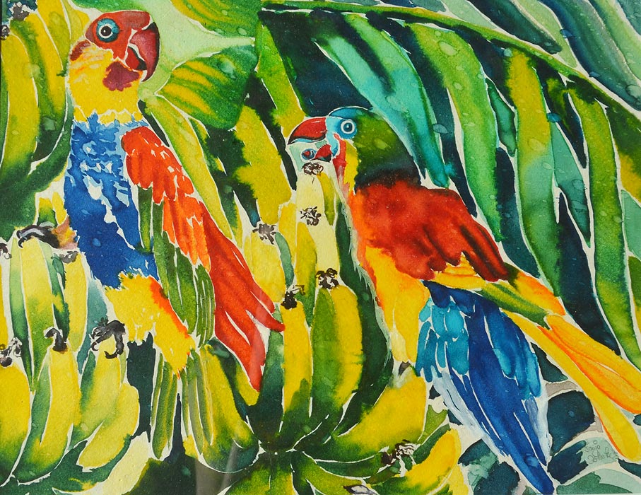 Aquarell-Malerei Papageien